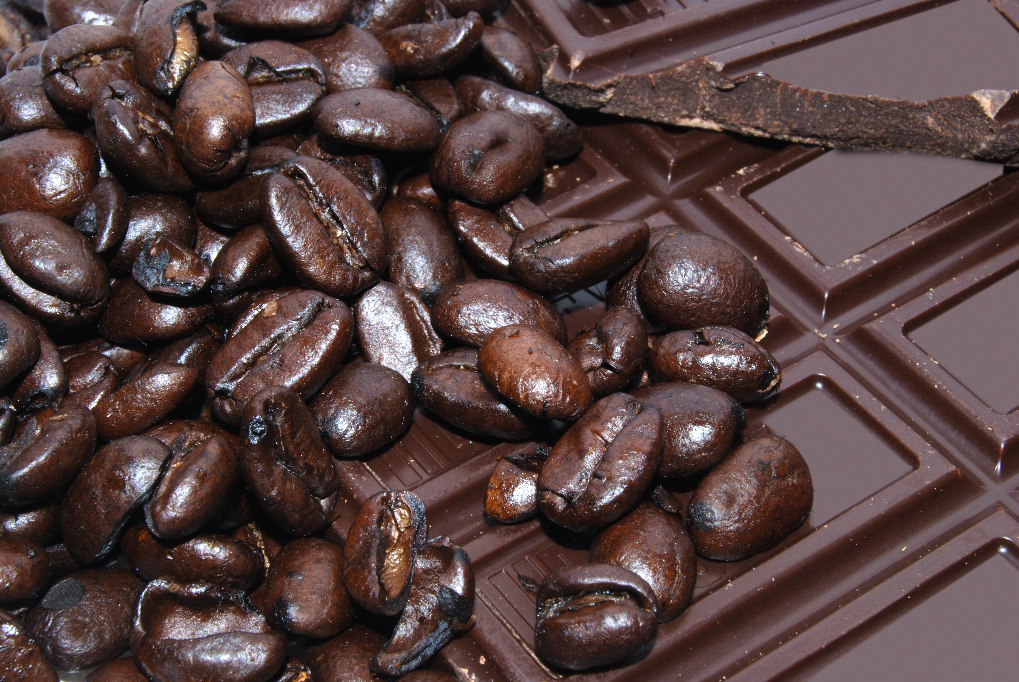 Çikolatanın Hammaddesi Kakao