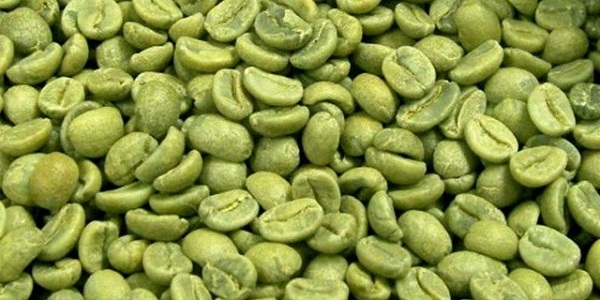 Yeşil Kahve